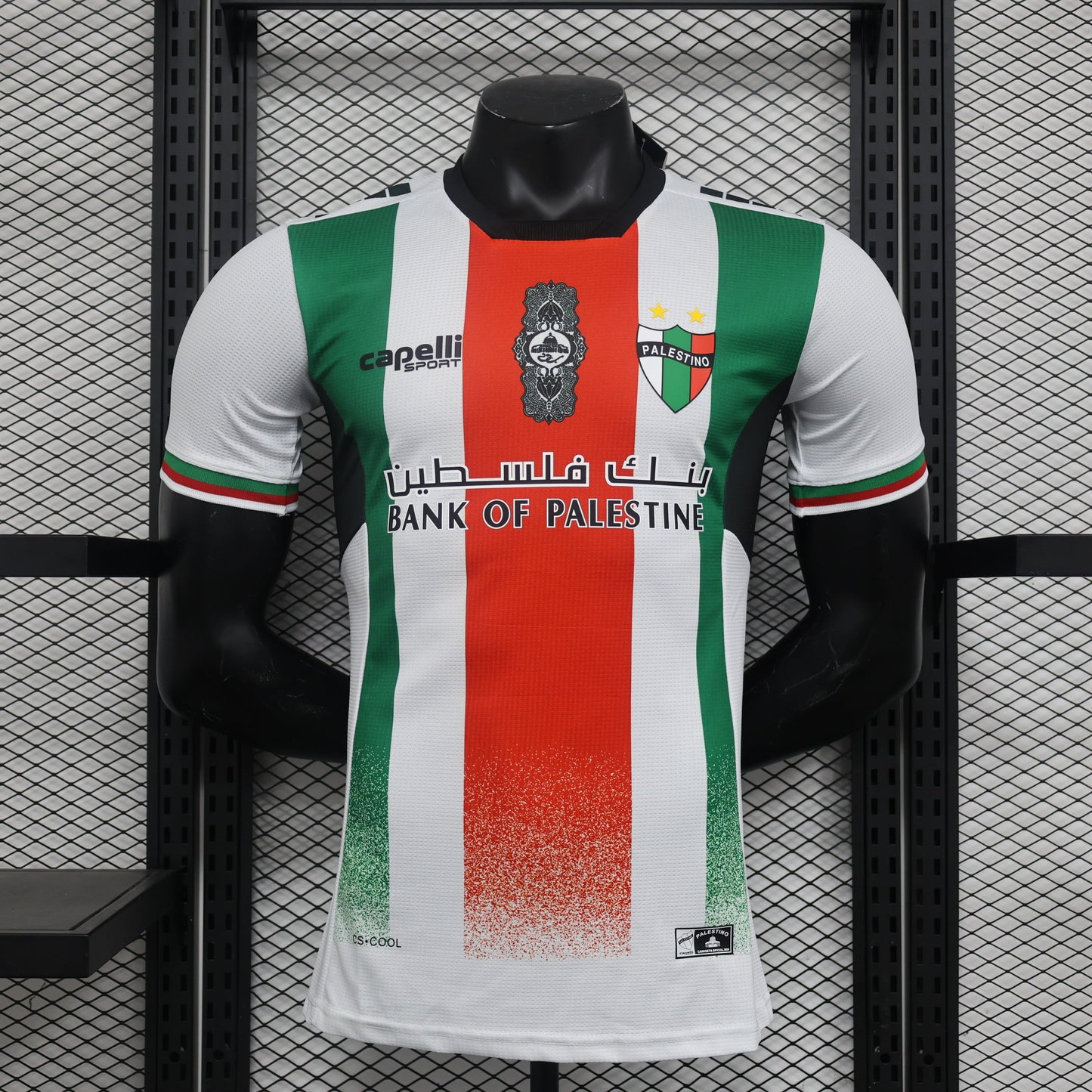 Palestine 2024-2025 Third Kit