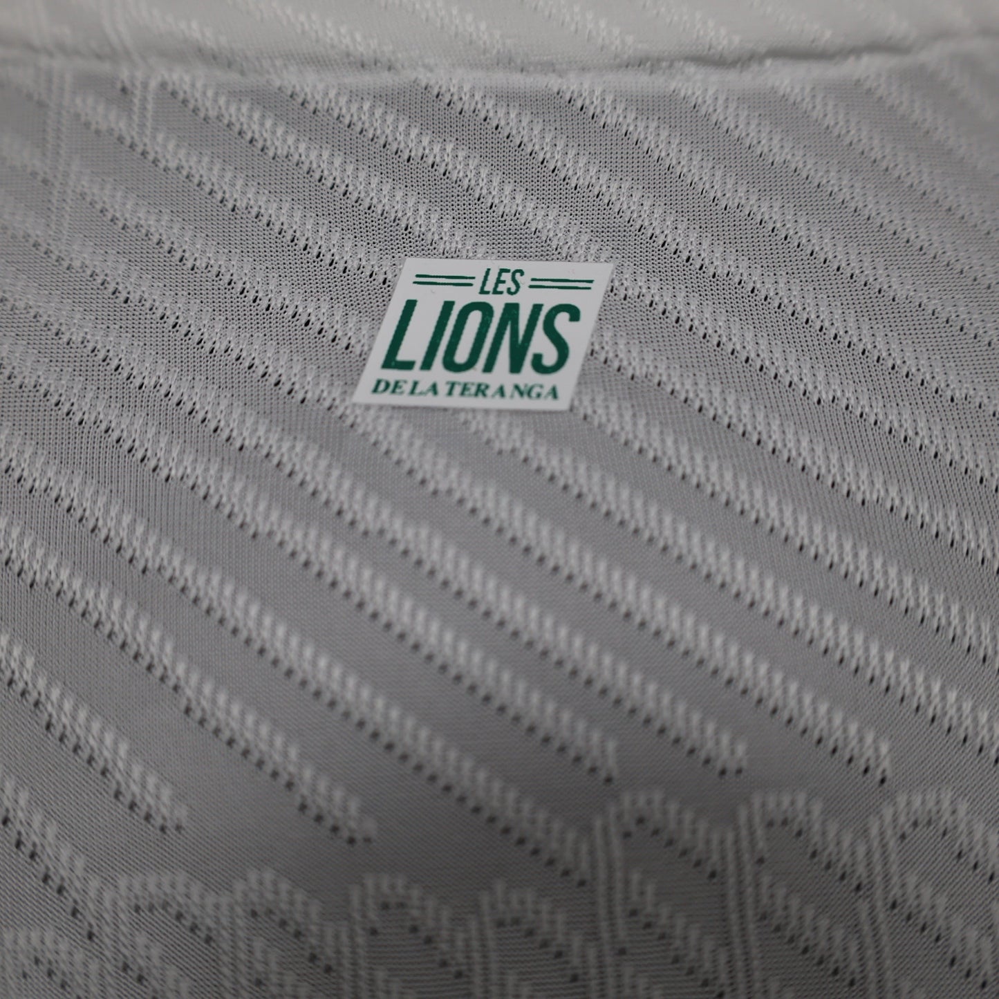 Senegal "Lion's Pride" Special Kit