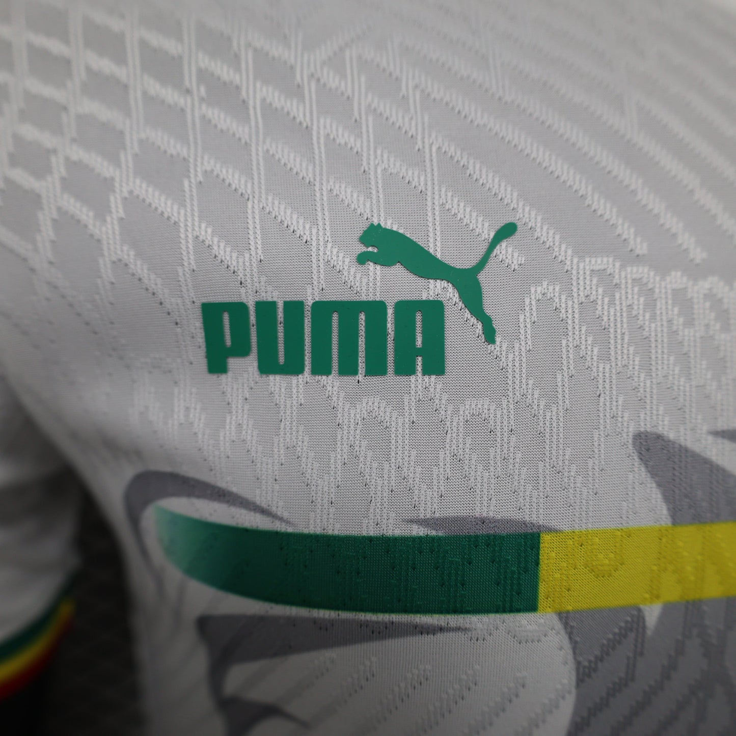 Senegal "Lion's Pride" Special Kit